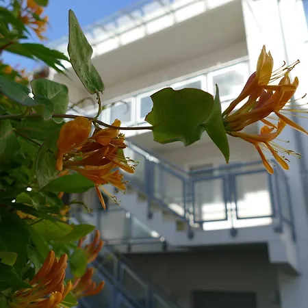 Apartman Hafenperle Objekt-id 15517-9
